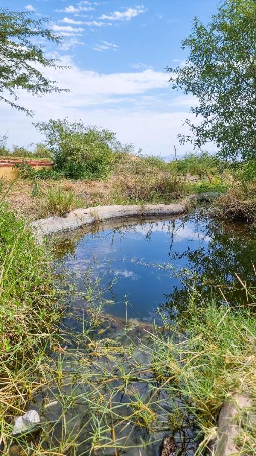 Africa Safari Lake Natron Camping Mtowabaga Eksteriør billede