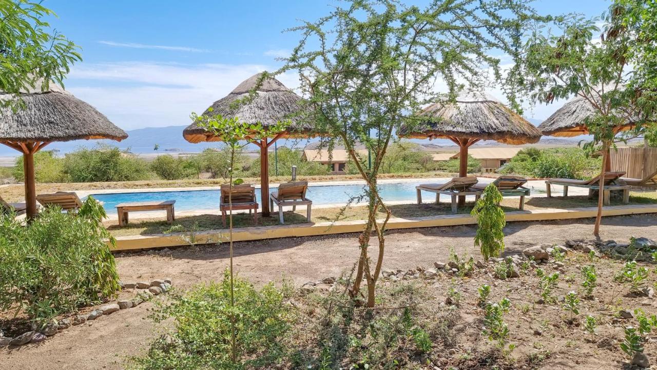 Africa Safari Lake Natron Camping Mtowabaga Eksteriør billede